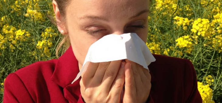 La Homeopatía para la alergia ¿Cómo te puede ayudar?