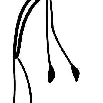 Síntomas que persisten tras pasar el covid